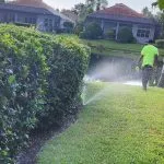 Lawn Irrigation
