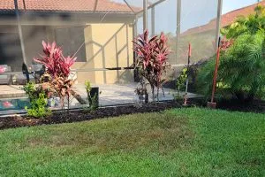 Maximizing Lawn Health in Florida: The Science and Benefits of Cycle and Soak Lawn Watering