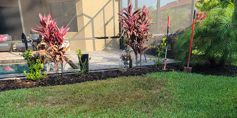 Maximizing Lawn Health in Florida: The Science and Benefits of Cycle and Soak Lawn Watering