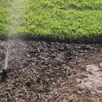 Sprinkler Replacement