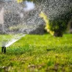 Understanding the Importance of Sprinkler Repair