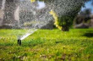 Understanding the Importance of Sprinkler Repair