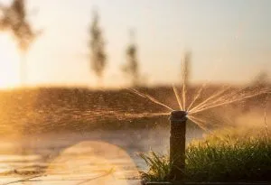 What Irrigation Services Will Your Property Need?