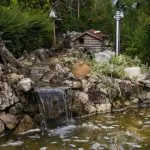 Pond Maintenance