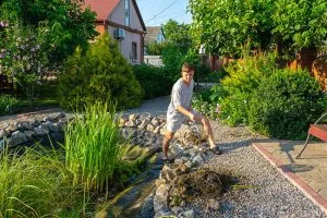 Why Professional Pond Maintenance Can Save You Time and Money