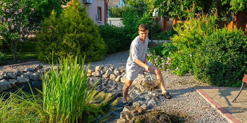 Why Professional Pond Maintenance Can Save You Time and Money