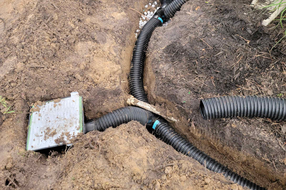 Catch basin and corrugated drain pipe going into a yard in The Meadows, Sarasota, March 2022