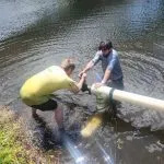 Pump & Motor Replacement