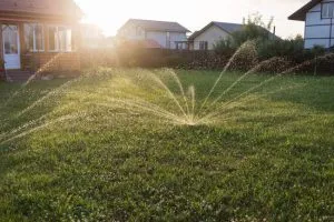 Signs You Need Professional Sprinkler Maintenance