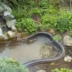 Three Reasons to Leave Pond Cleaning to the Experts