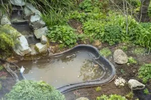 Three Reasons to Leave Pond Cleaning to the Experts