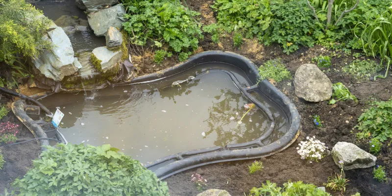 Three Reasons to Leave Pond Cleaning to the Experts