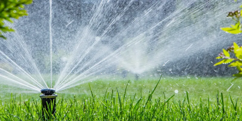 3 Reasons to Invest in a Lawn Irrigation System