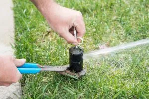 Irrigation Audit