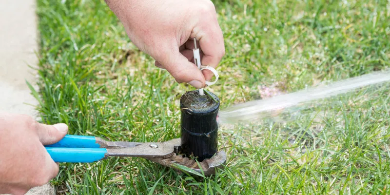 How to Tell if You Need Sprinkler Repair Services