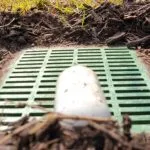 Commercial Drainage