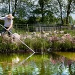Why You Need Pond Cleaning Services