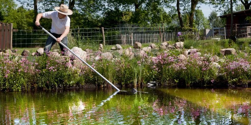Why You Need Pond Cleaning Services