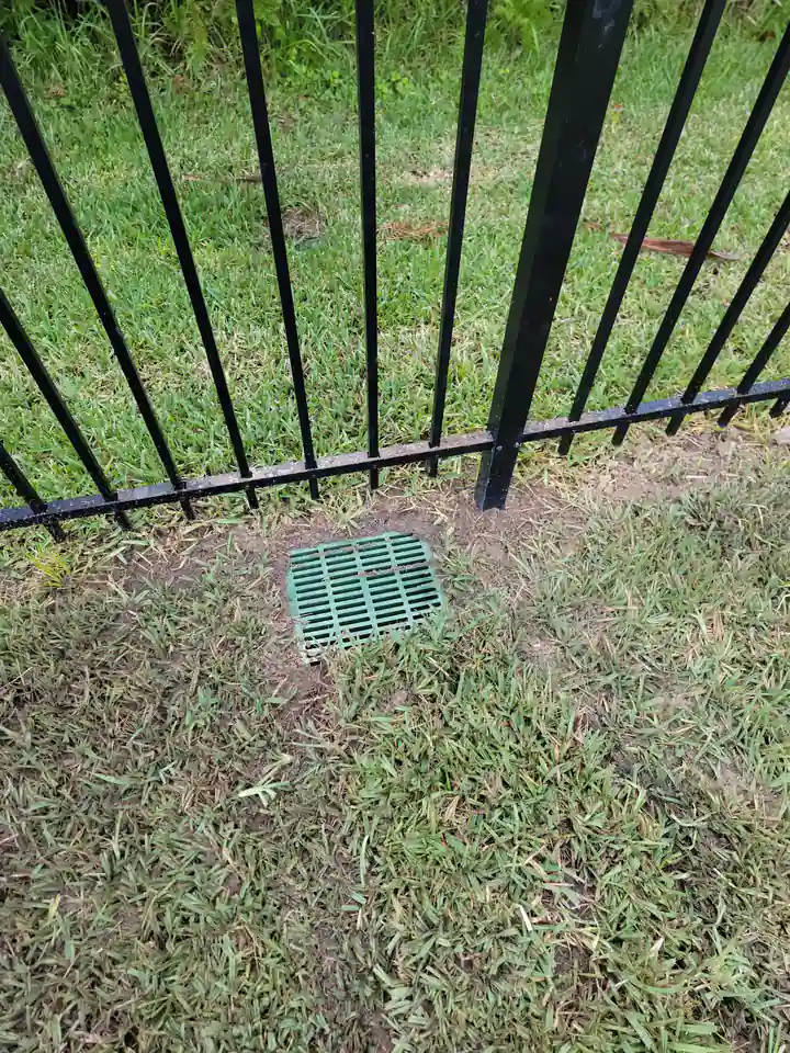 Green drain grate set in the lawn along a fence, Bradenton