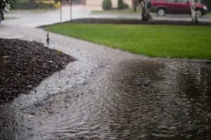 How to Tell if You Have a Yard Drainage Problem