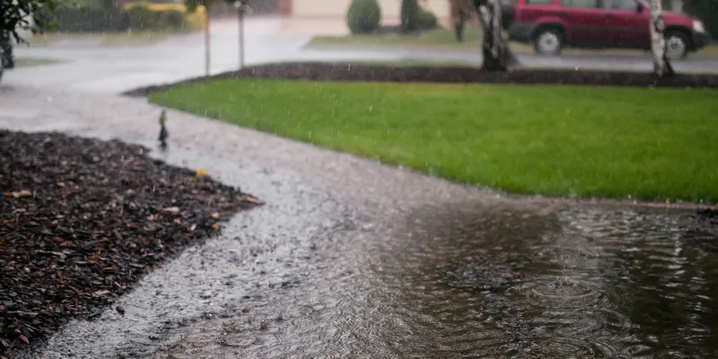 How to Tell if You Have a Yard Drainage Problem