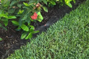 Planted bed edged off from the lawn beside a home, Lakewood Ranch