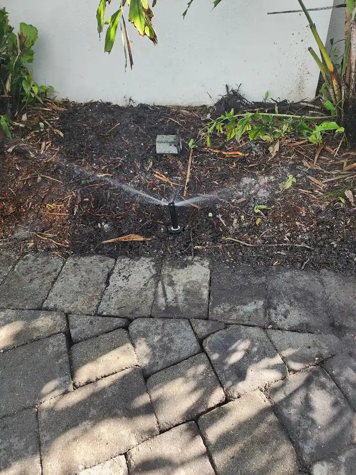 Spray head watering a planted bed beside a paver walk, Sarasota